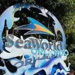 SeaWorld Orlando