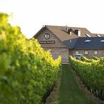 Newport Vineyards