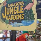 Sarasota Jungle Gardens