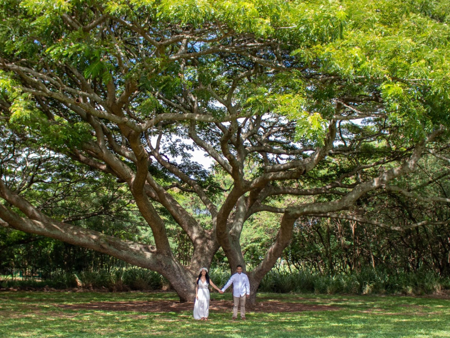 The Wedding Website of Kawehi Pedrina and Kimo Suizu-Woelfel