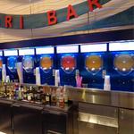 Fat Tuesday Knoxville