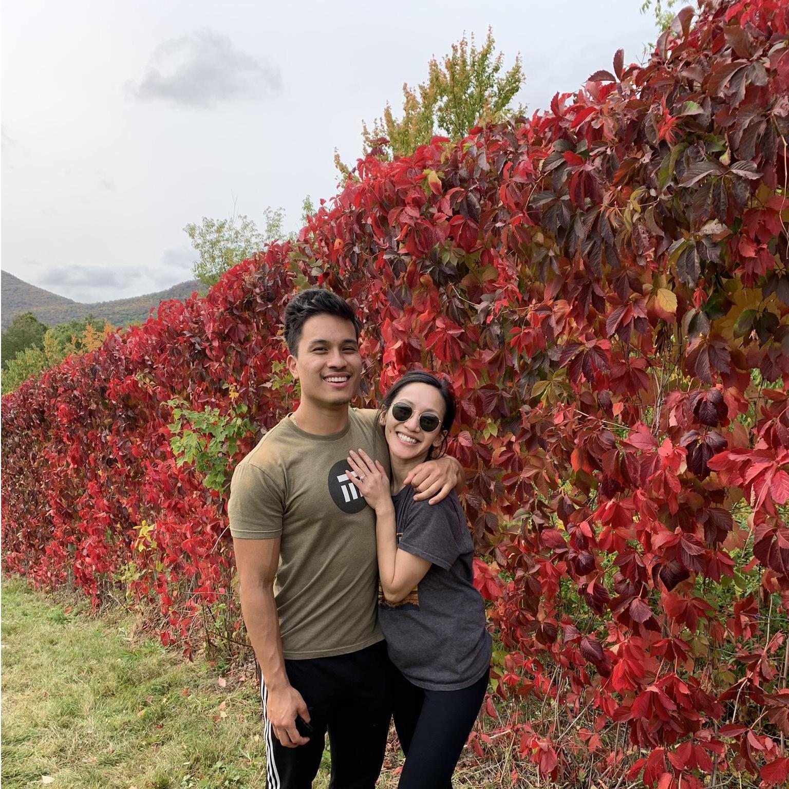 Apple picking in Vermont