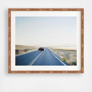 Buffalo Crossing Framed Wall Art