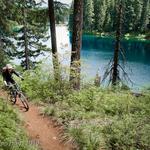 McKenzie River Trail
