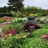 Humboldt Botanical Garden