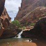 Mill Creek Waterfall Trail