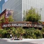 The Dallas World Aquarium