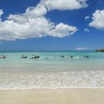 Buccoo Beach