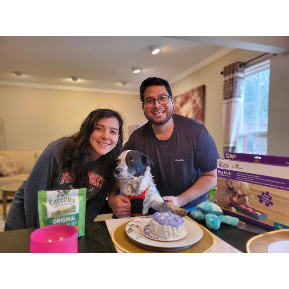 Patches' 1st Gotcha Day Celebration! (2023)