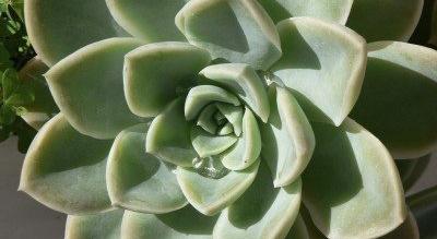 Footer image