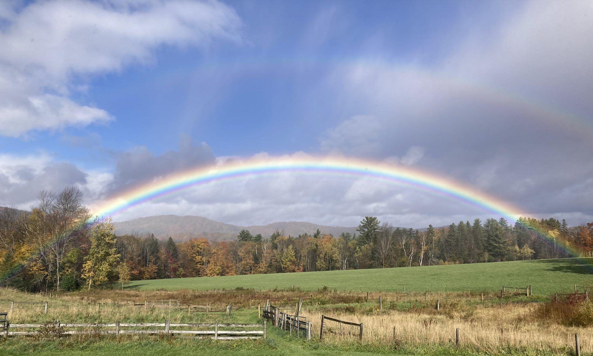 The Wedding Website of partnership & partnership and Celebration of love, land & Dani