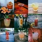 Portland's Essential Cocktail Bars