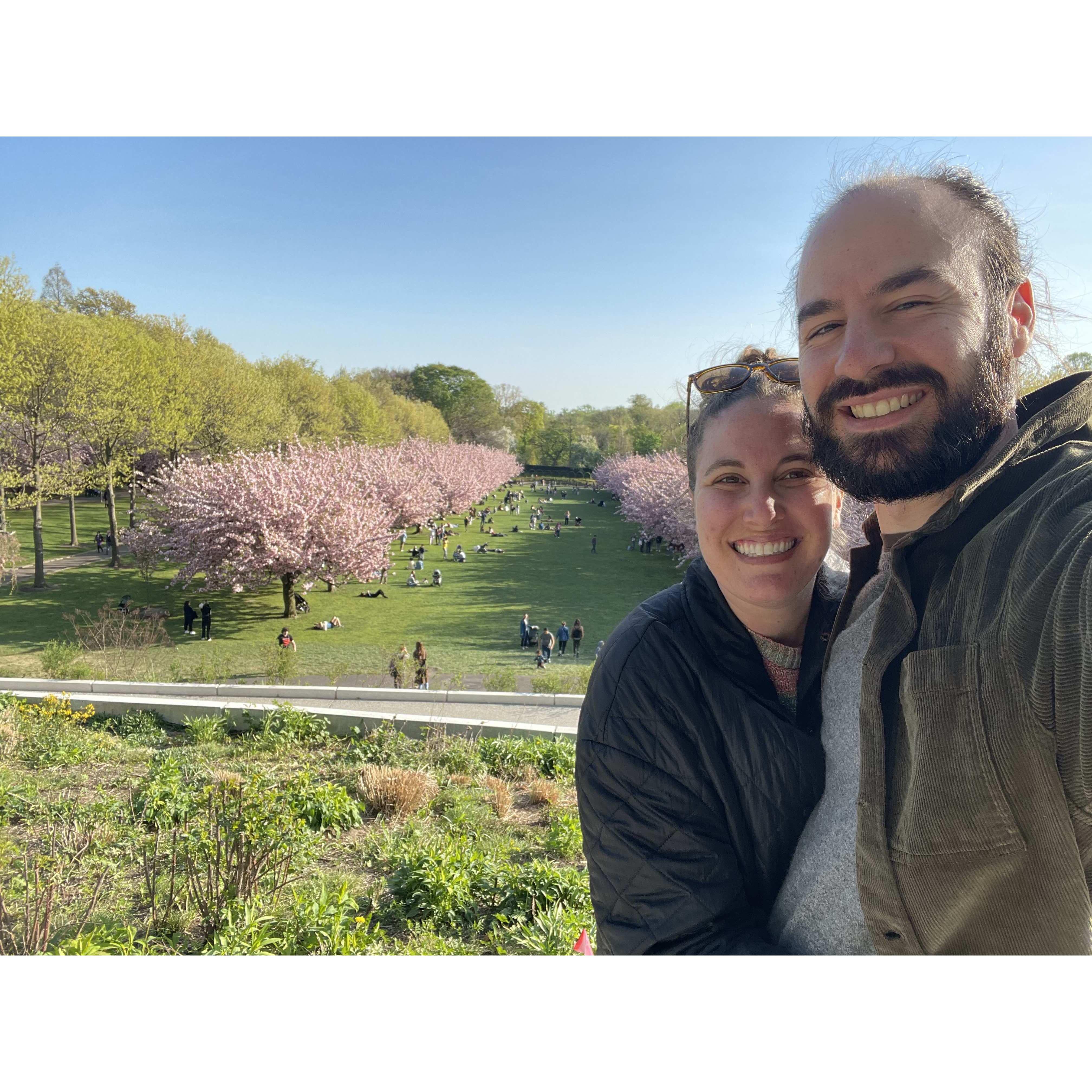 An annual tradition checking out the cherry blossoms at the Prospect Park Botanical Garden.