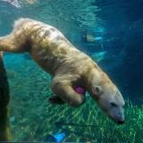 San Diego Zoo
