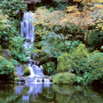 Explore the Portland Japanese Garden