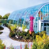 Chihuly Garden and Glass
