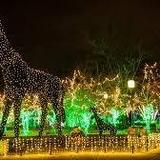 Saint Louis Zoo