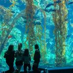 Birch Aquarium at Scripps Institution of Oceanography