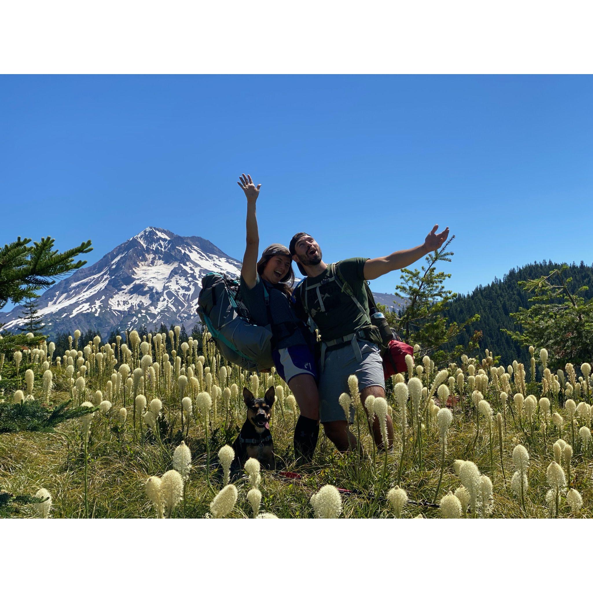 Zig Zag trail in Oregon - mosquitos, fallen trees, hidden campsites