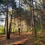 Provin Trails