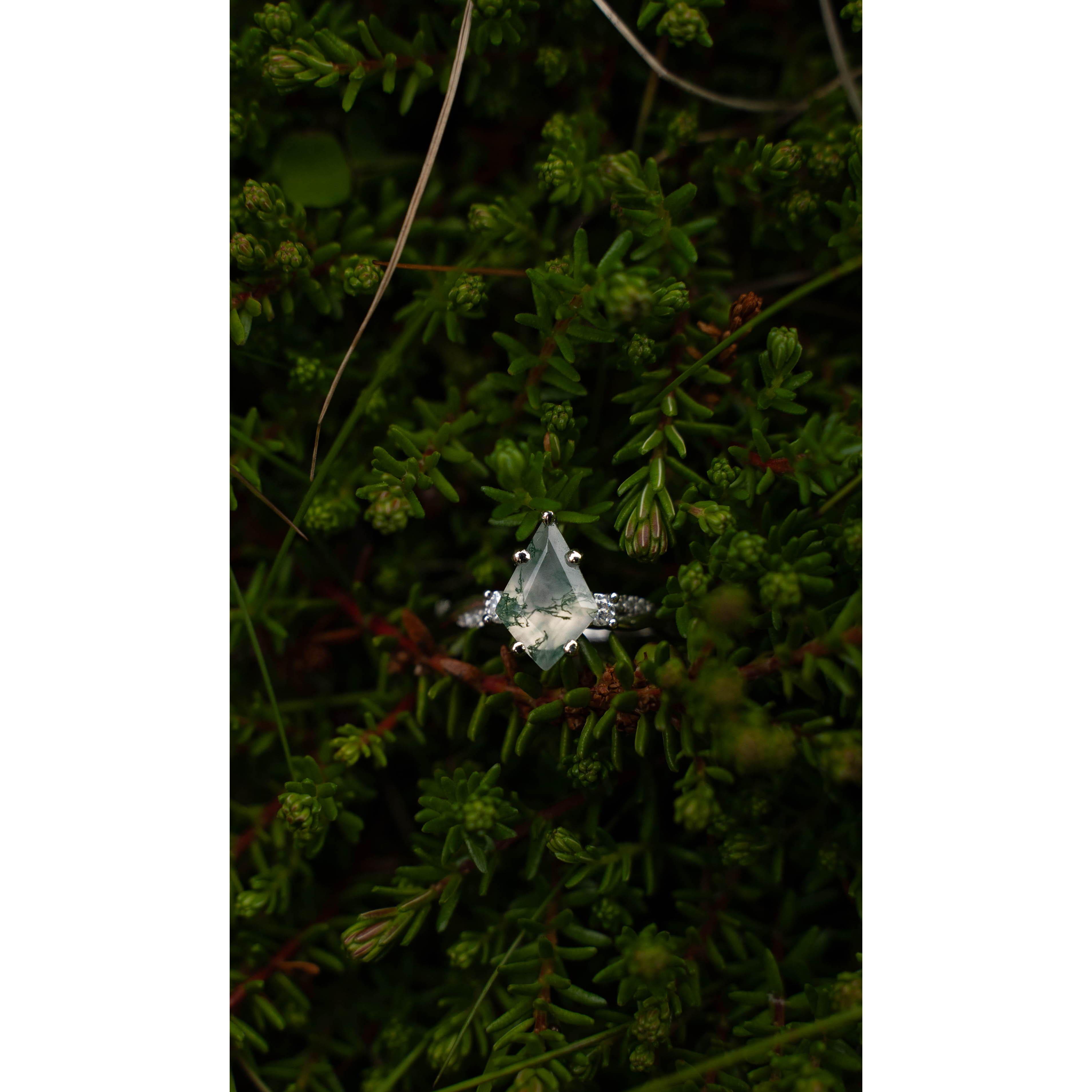 We had to take a picture of the ring so we put it in some moss on this rock while we were on a hike seeing the Puffins in Norway and Alec got this amazing picture.