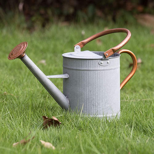 HORTICAN Galvanized Watering Can Modern Style Watering Pot with Handle and Rosehead for Outdoor and Indoor House Plants (1 gal/Zinc)