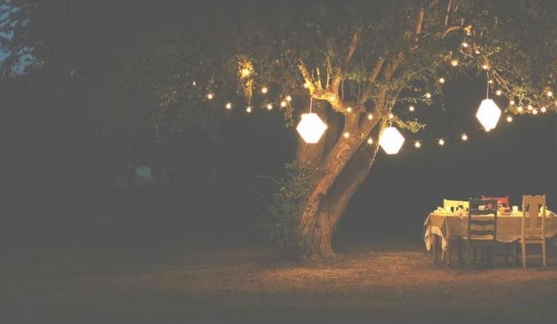The Wedding Website of Monique DeVargas and Lucas Sanchez