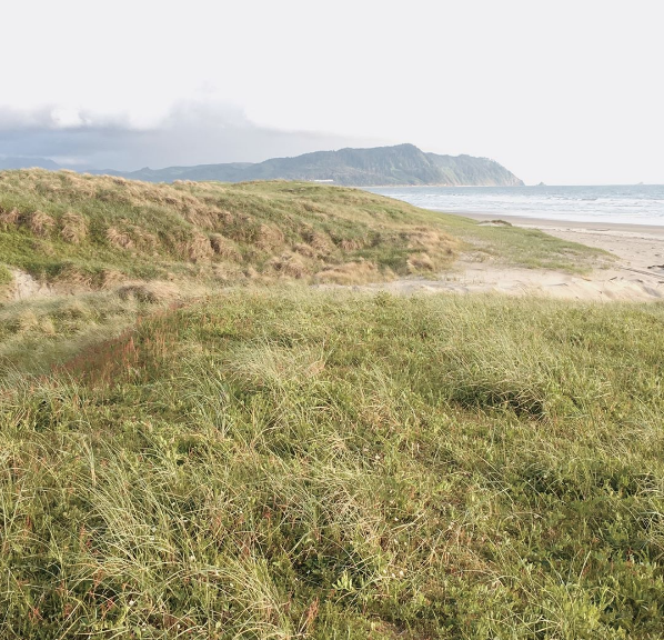 The Wedding Website of Michelle Luke and Samuel Everett