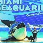 Miami Seaquarium
