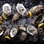Delaware Avenue Oyster House & Bar
