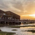 Hayward Shoreline