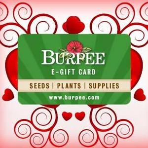Purchase an E-Gift Card (Online Gift Certificate)