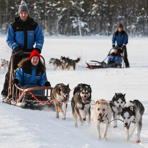 Dogsledding in Lapland