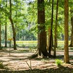 Tom Triplett Park