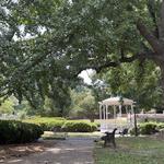 Explore the West End Historic District