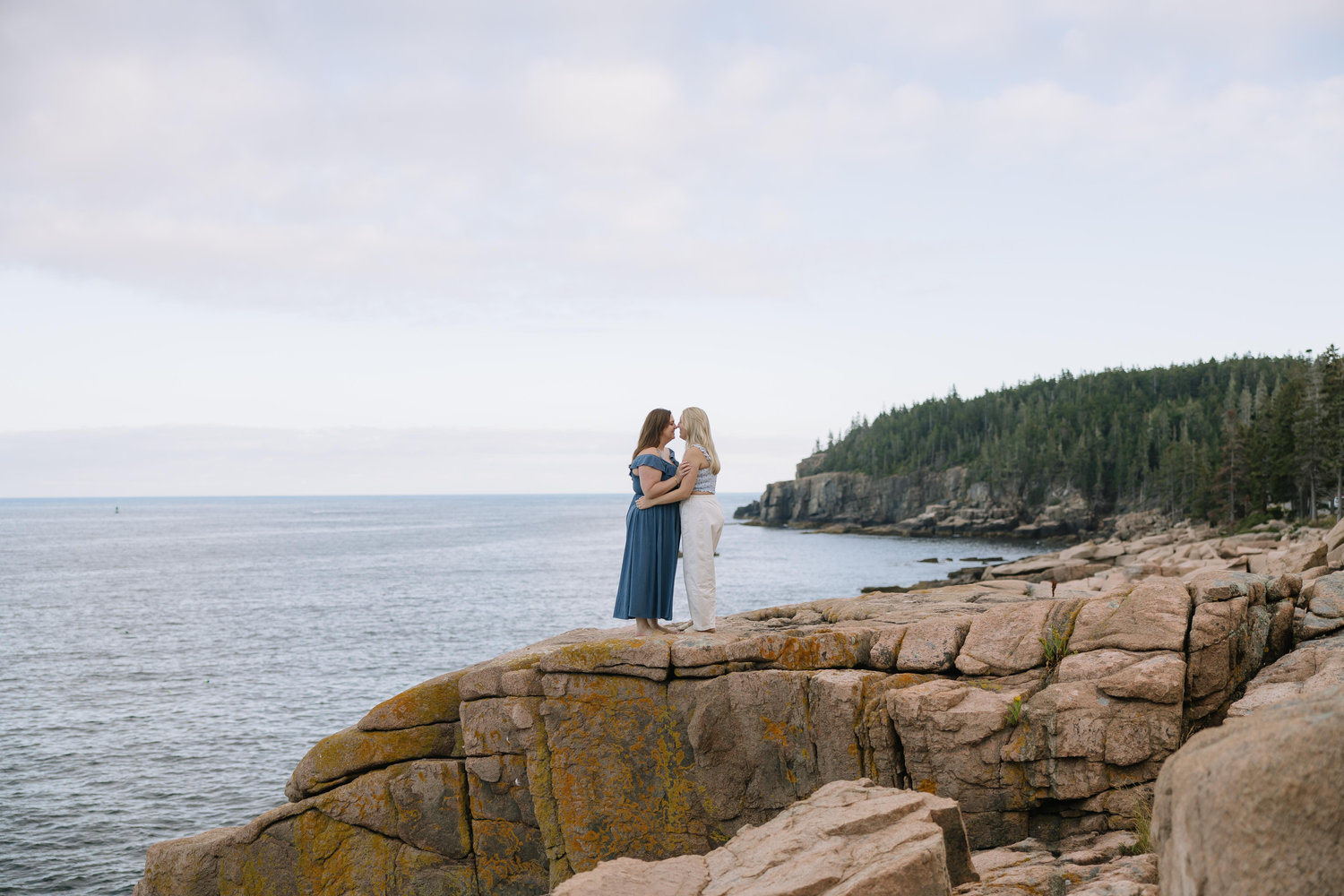 The Wedding Website of Paige Brocious and Stephanie Barbeau