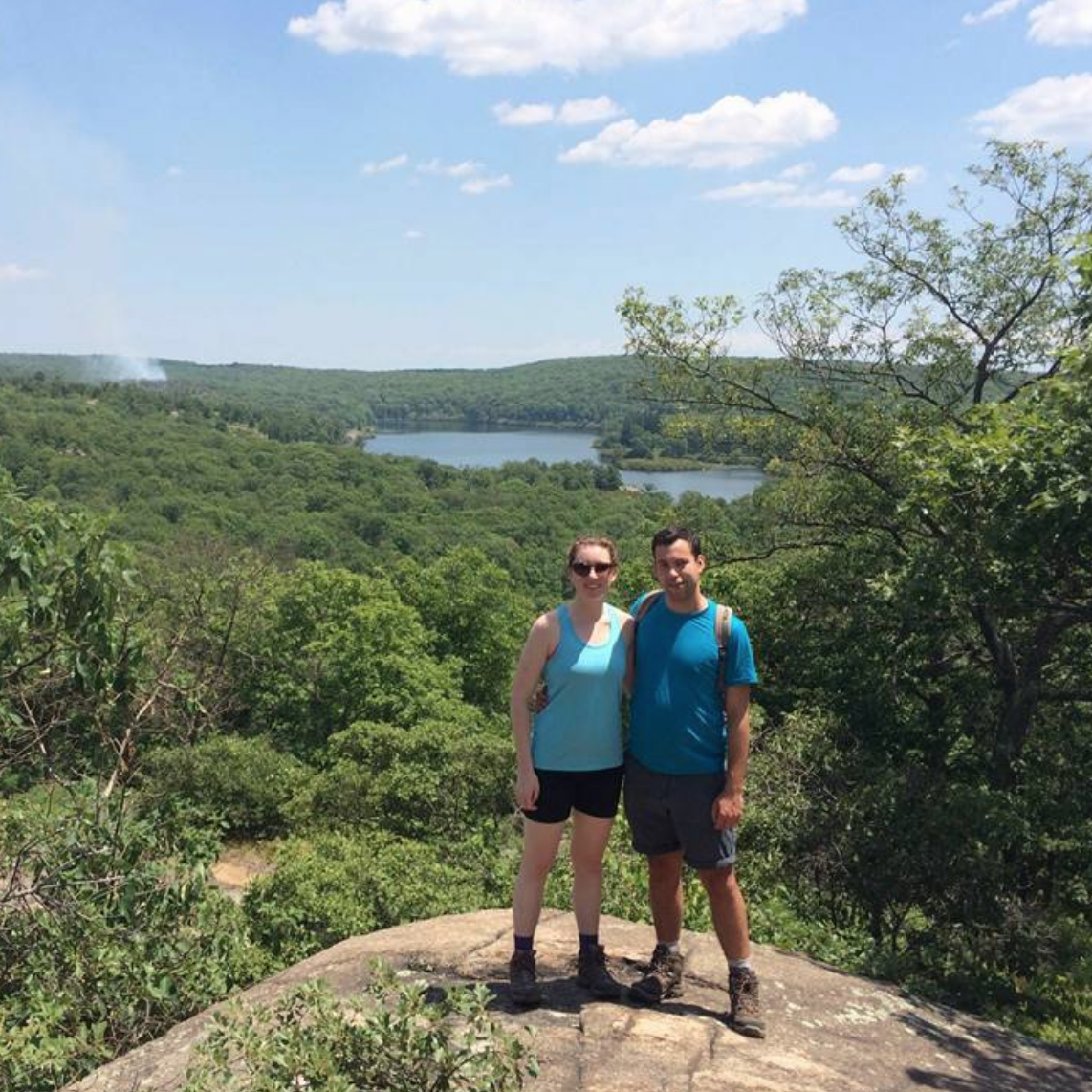 Bear Mountain, 2017
