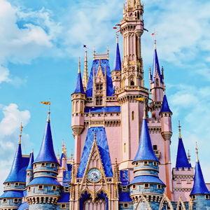 Disney World Honeymoon Fund