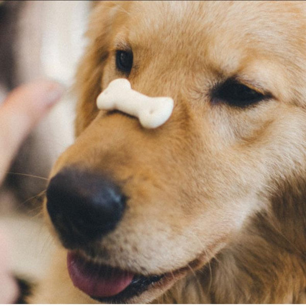 Year Supply of Puppy Treats