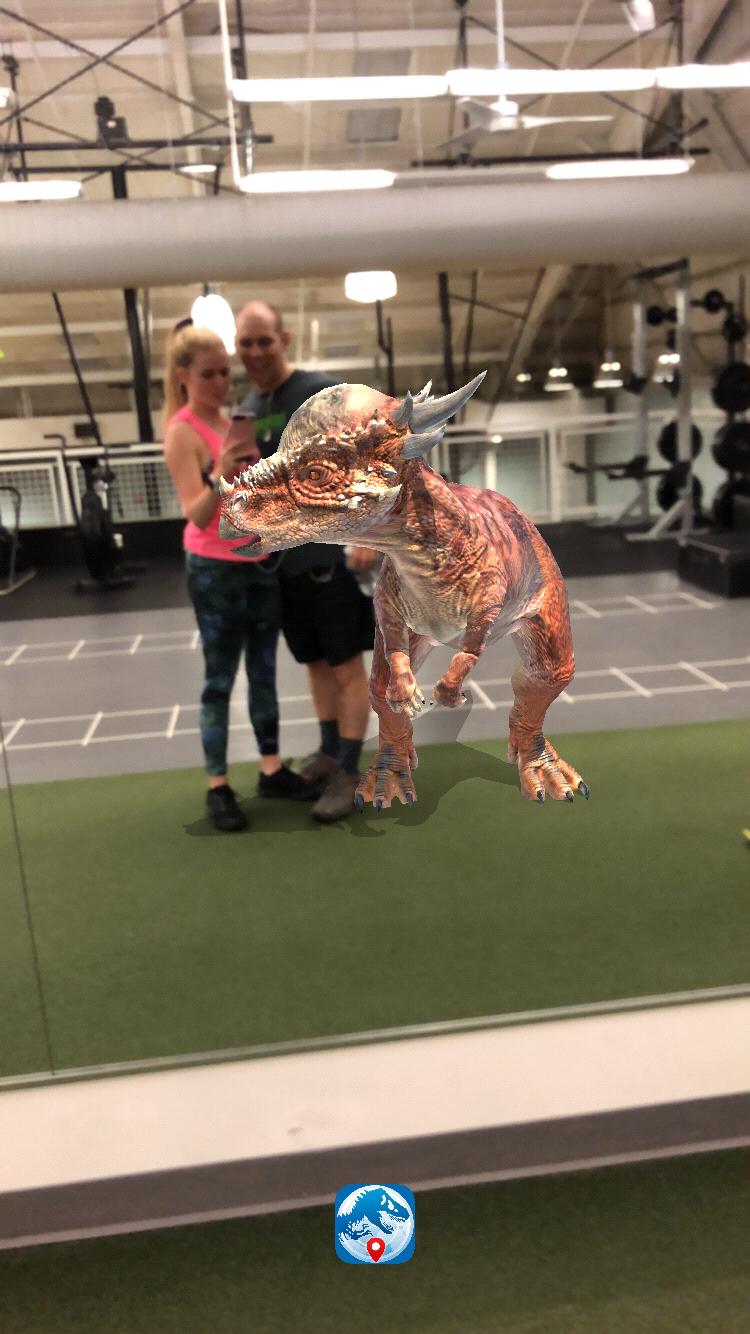 We were obsessed with the gym and Jurassic Alive at one point