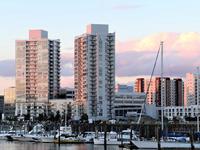 Harbor Point
