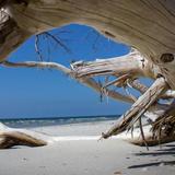 Outdoors Exploring/Less Crowded Beaches