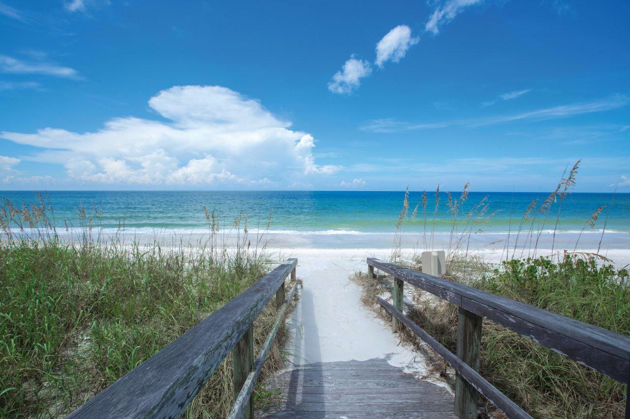 The Wedding Website of Maggie Ayala and Dan Chesney