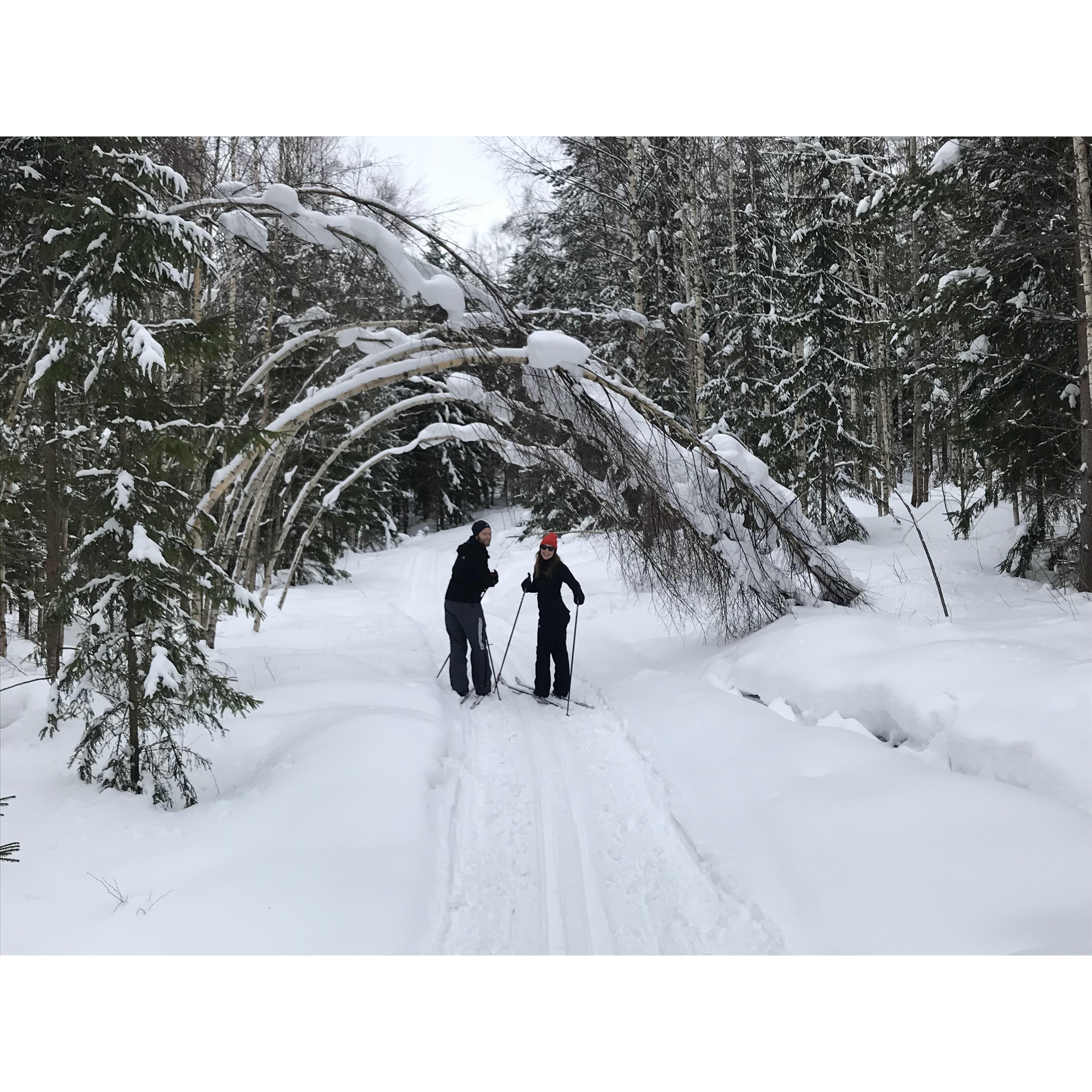 Cross Country skiing in Sweden