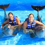 Cabo Adventures- swim with dolphins