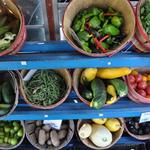 Saturday Farmer's Market
