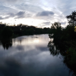 FIU Nature Preserve