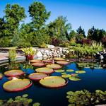 Denver Botanic Gardens