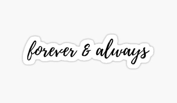 The Wedding Website of Cailin Nelson and Damien St.Pierre