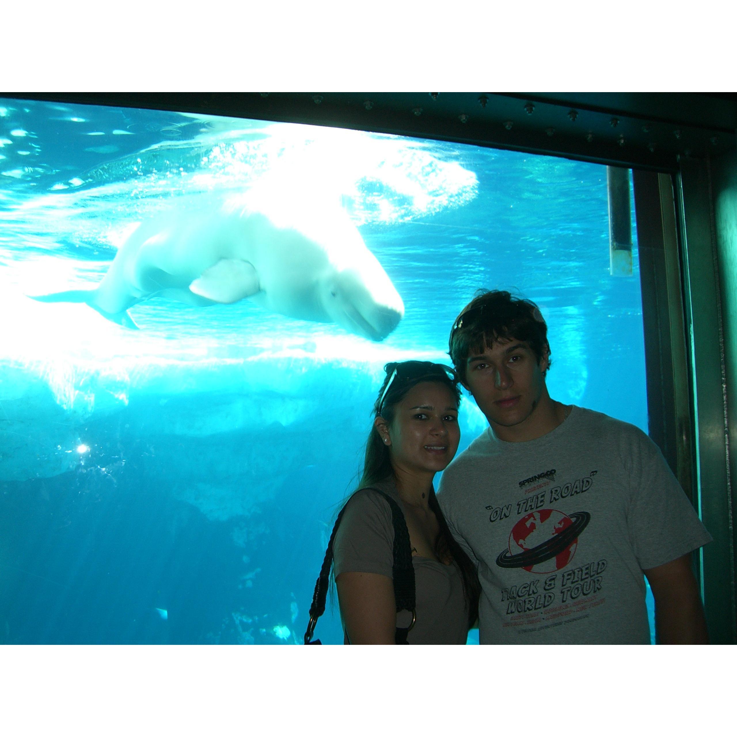 Sea World, CA 2009